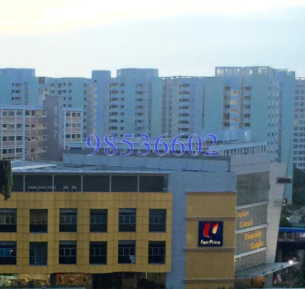 Blk 864A Tampines Street 83 (Tampines), HDB 4 Rooms #133521382